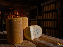 agence web créateur site internet fourme fromage