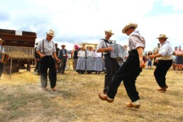 refonte site internet association montbrison loire