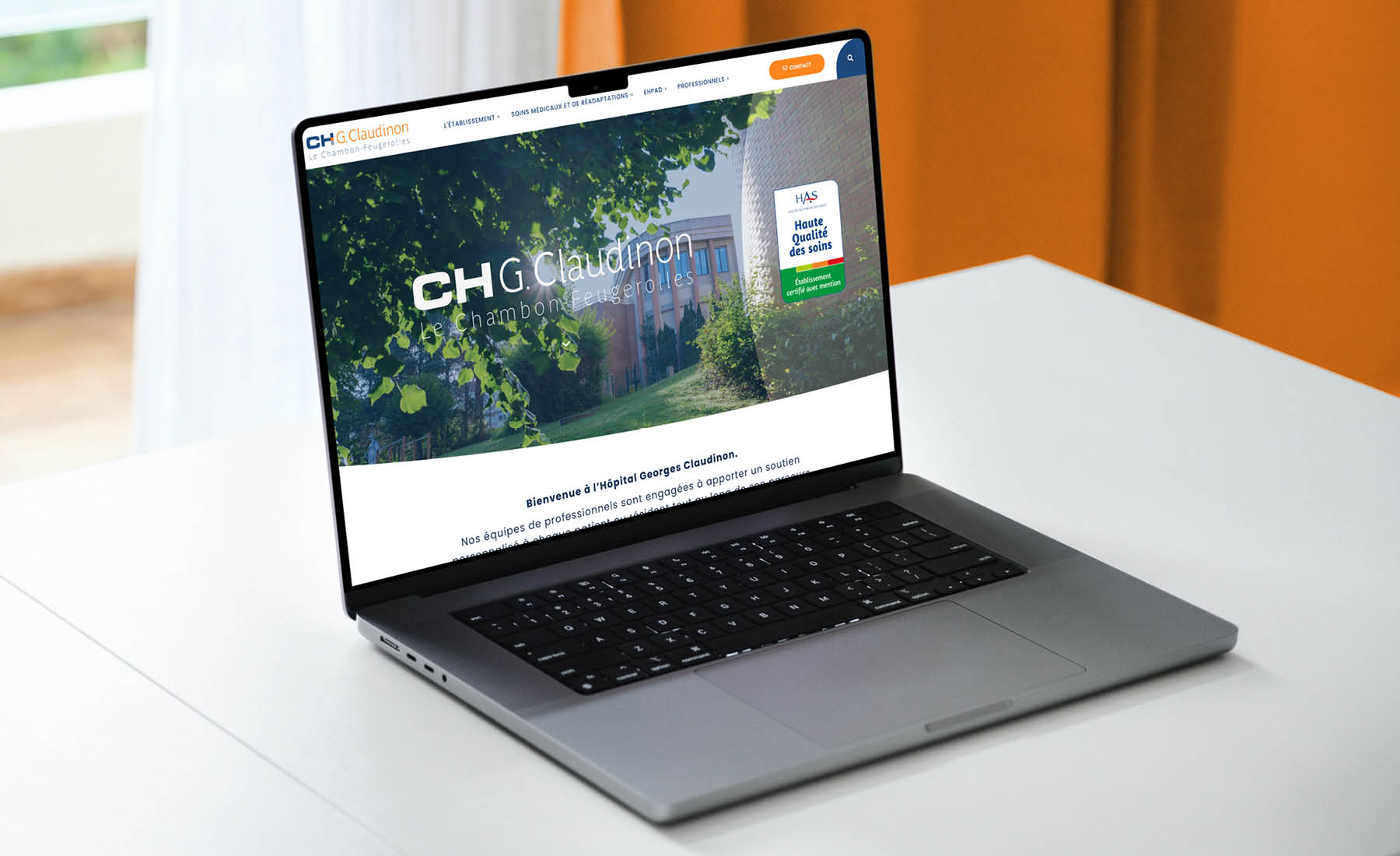 refonte site Internet WordPress